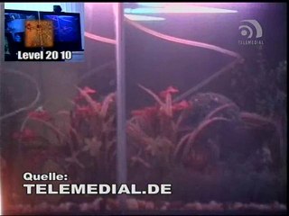 Kanal Telemedial - Aquarius 10 - April 09, 2010
