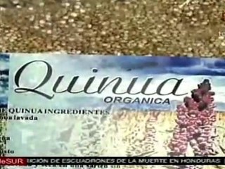 Se realiza en Ecuador Feria de Comercio Justo para democratizar las exportaciones
