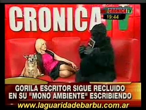Anabela Ascar entrevista por 2º vez al gorila escritor. P 2