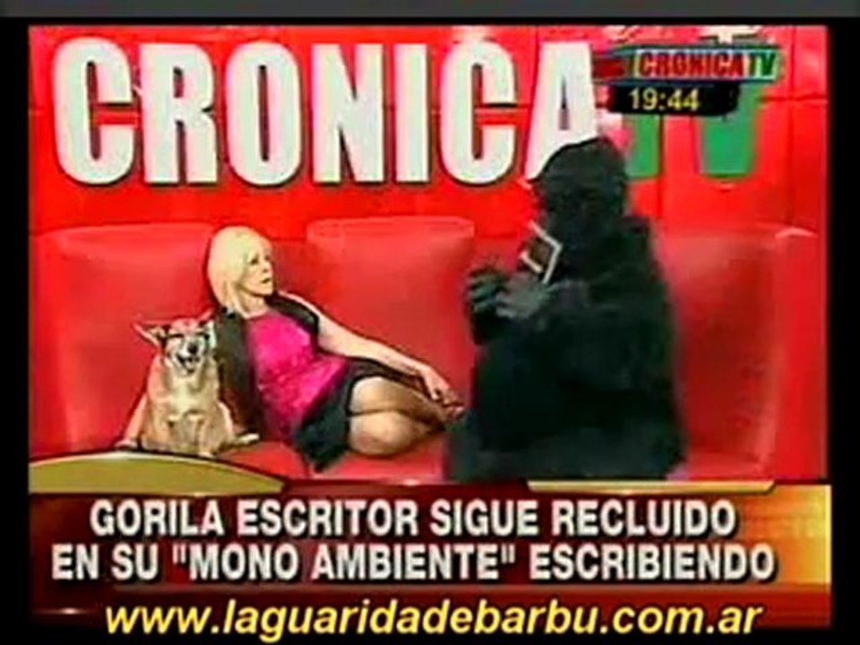 Anabela Ascar entrevista por 2º vez al gorila escritor. P 2