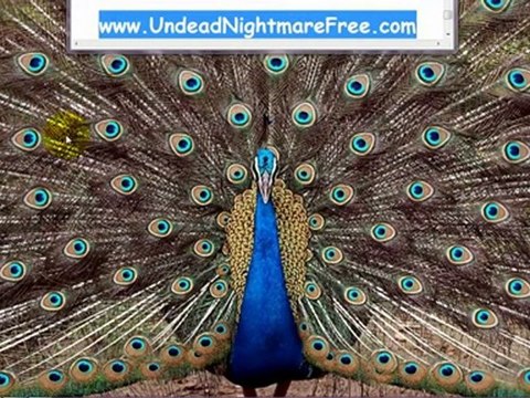 Undead Nightmare Giveaways DLC Redeem Codes Xbox360 and PS3