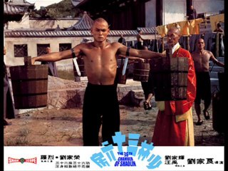36TH Chamber of Shaolin, Free Online Forum & ...