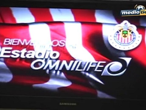 Medio Tiempo.com - Color Estadio Omnilife