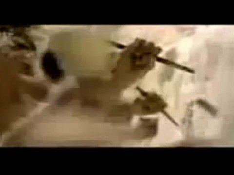 17 000 ENFANTS MEURENT CHAQUE JOUR _ OLIGARCHIE GENOCIDAIRE