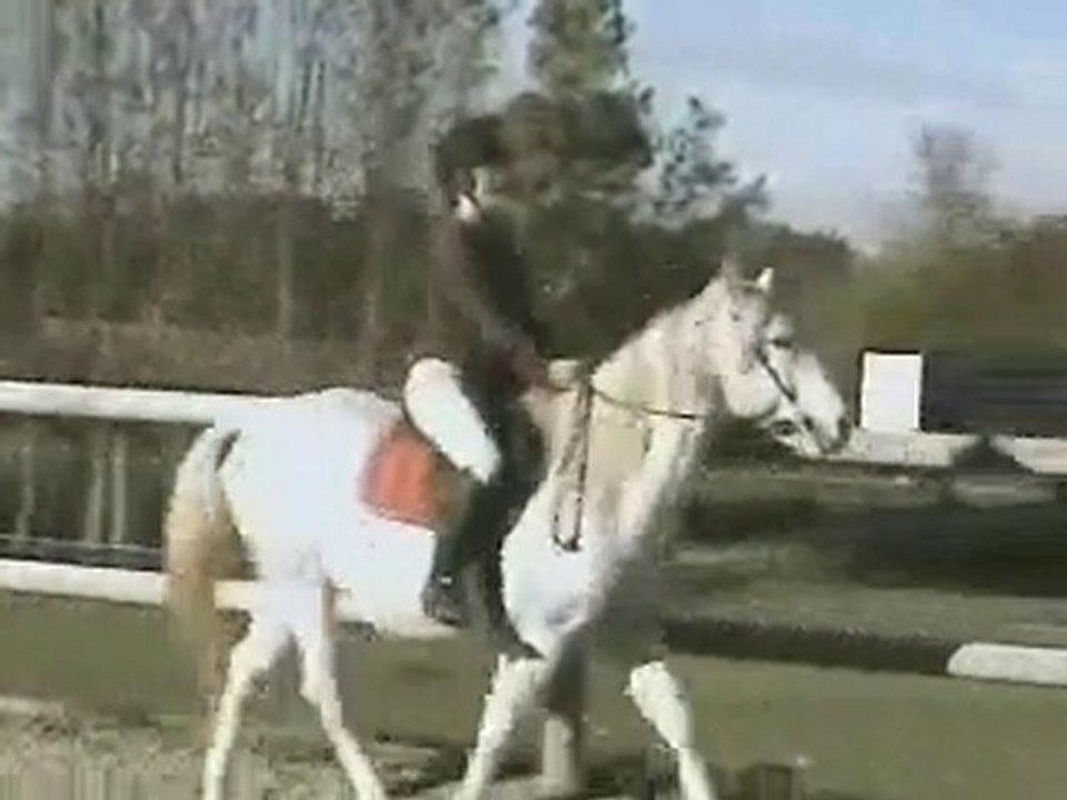 maud 1