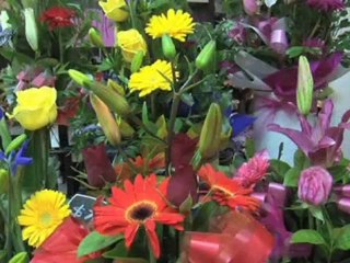 Florists Logan Central Petals On The Plaza QLD