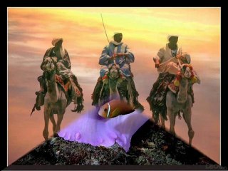 paso doble et photos