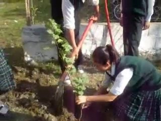 World Day to Combat Desertification and Drought