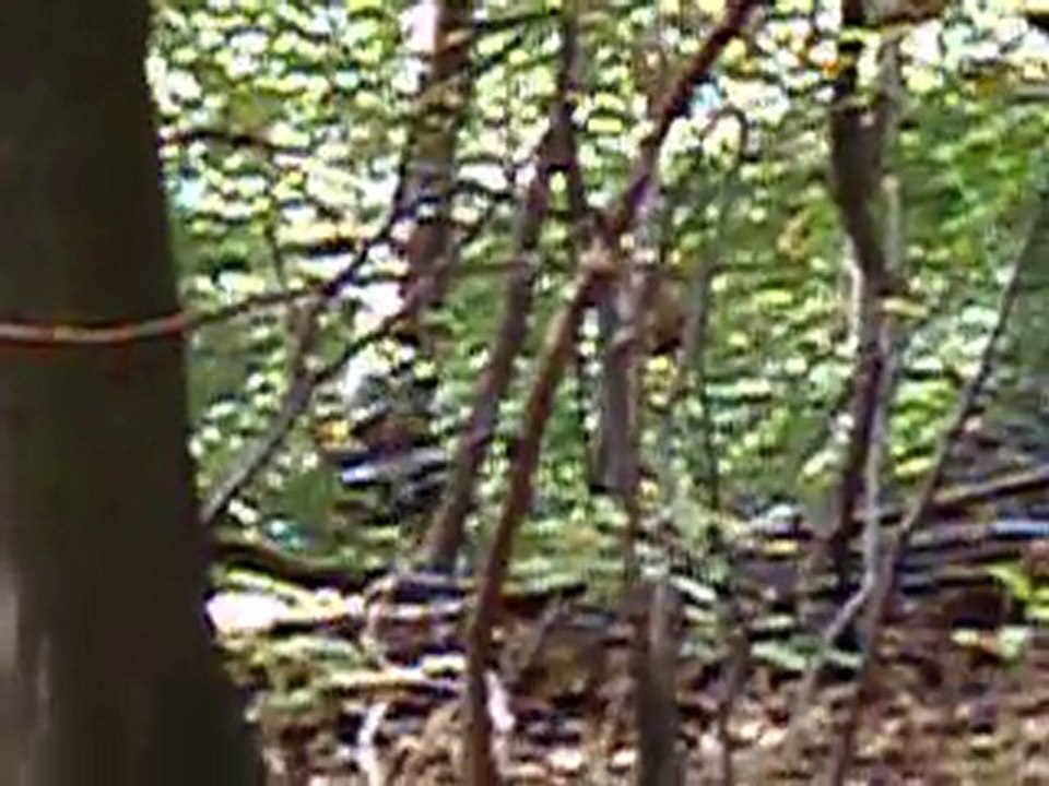 2010-10-24-Airsoft-e