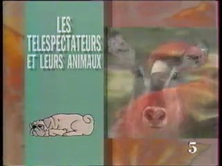 La Cinq (Mille et une patte)