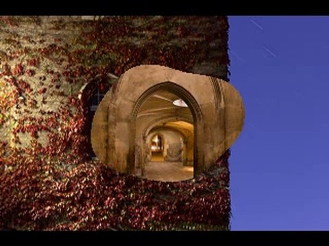 Kelebek Gibi (Enstrumental,Fon)