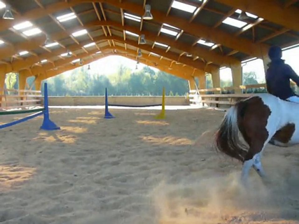 Travail du manège