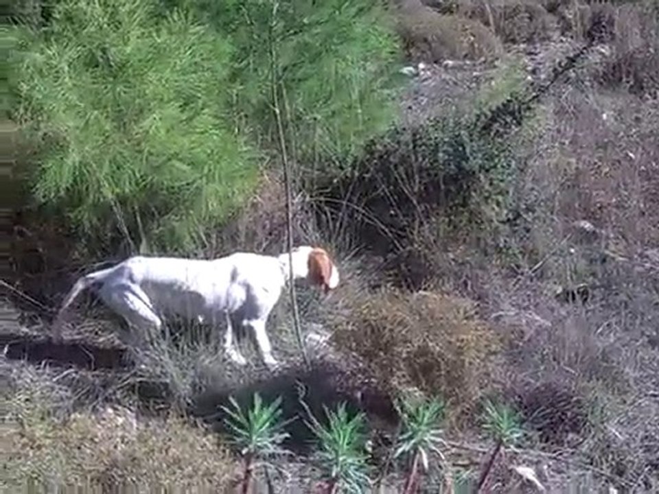 ŞİMA FERMA