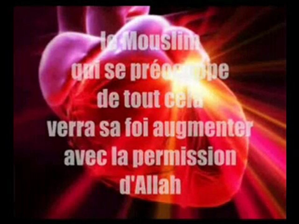islam authentique-- conseil musulman de france (2)