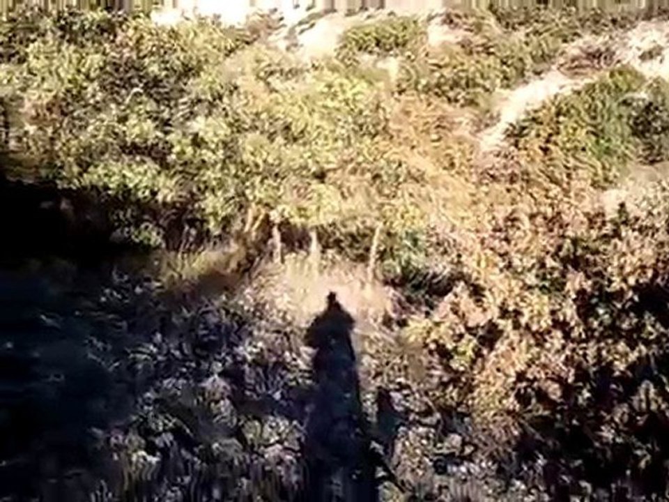 Video0116