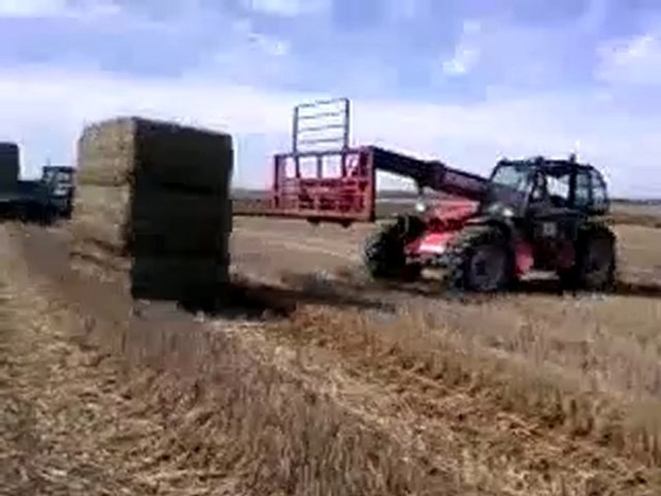 Rammassage de paille