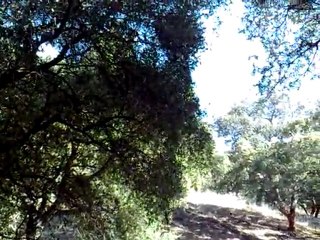 Naturaleza - Estepona - https://titaclaudia.wordpress.com