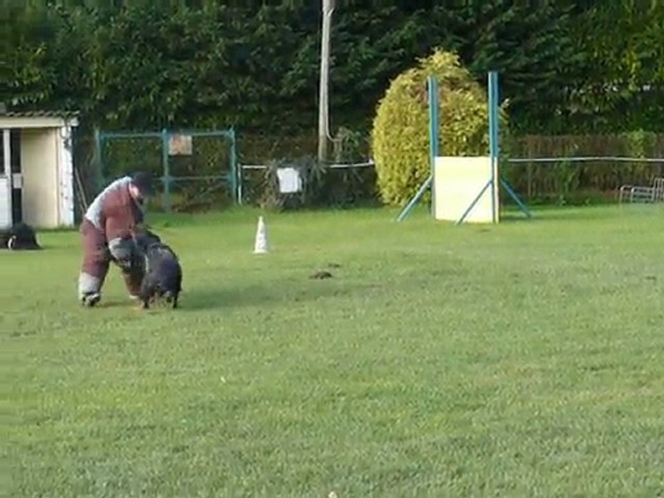 Coriace des Onze Hermines