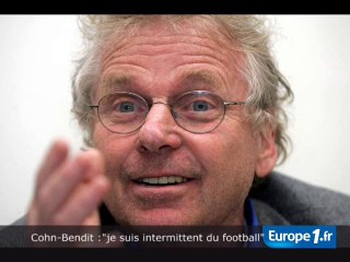 Cohn-Bendit : "pas à 100% consultant"