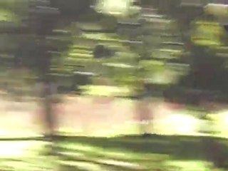 la parc mont royal lac des castors