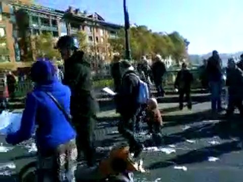 TOULOUSE MANIF 28 OCTOBRE 2010