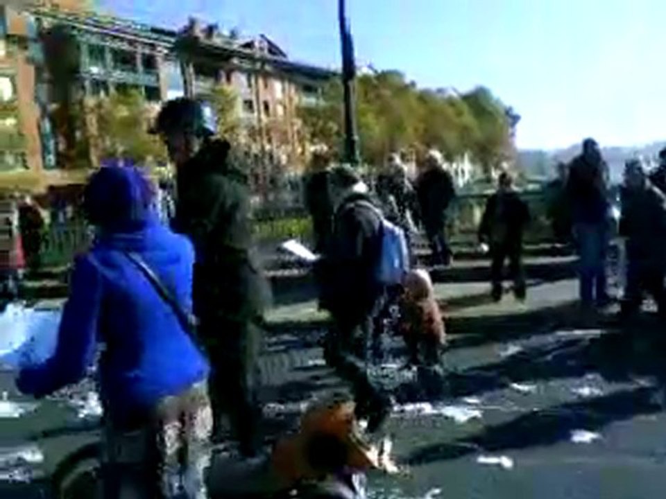 TOULOUSE MANIF 28 OCTOBRE 2010