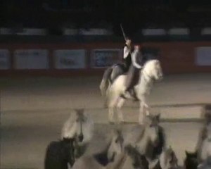 spectacle 2010 équitalyon