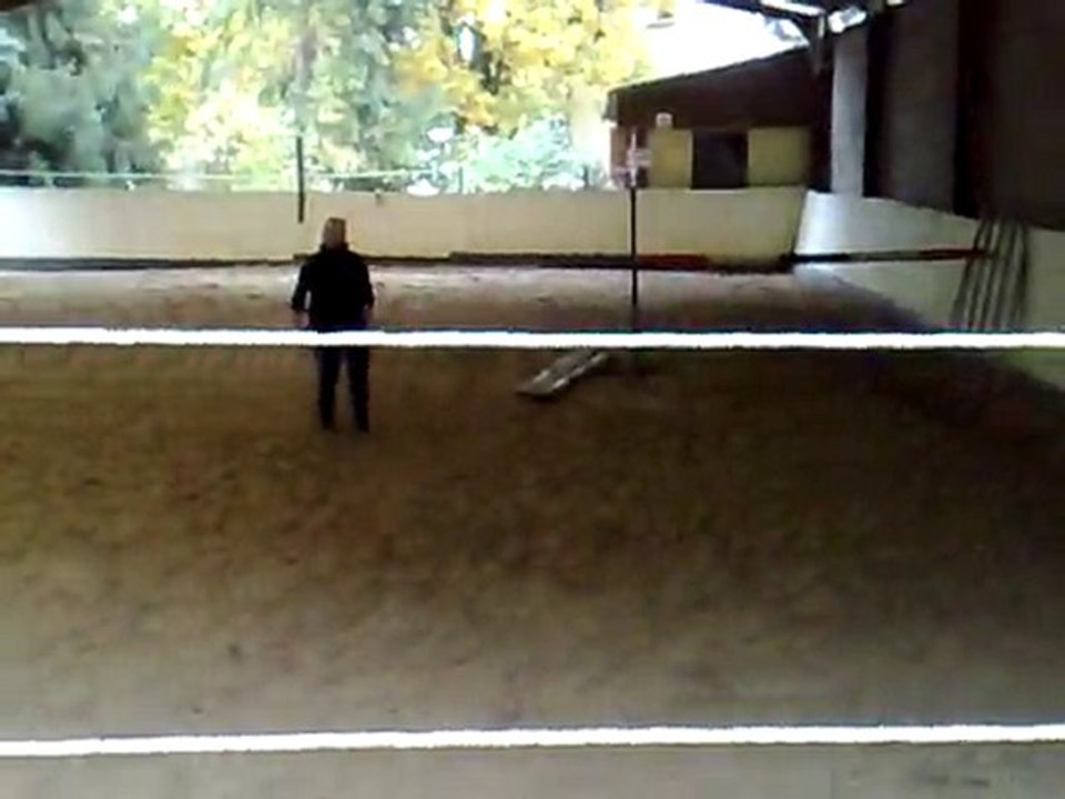 Serenade saut en liberté