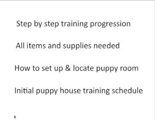 How To Potty Train Your Puppy With A Litter Box