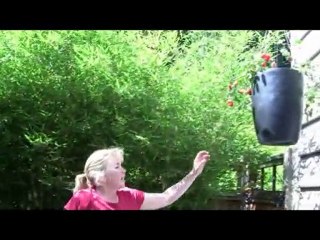 Oct. 31/10 Senga's Vlog - Edible Plants You Can Grow in Pots