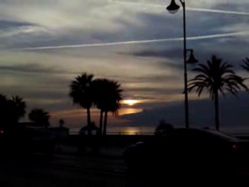 Atardecer - www.jardineromarbella.com