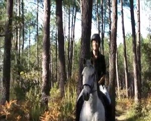 Balade foret landaise 1