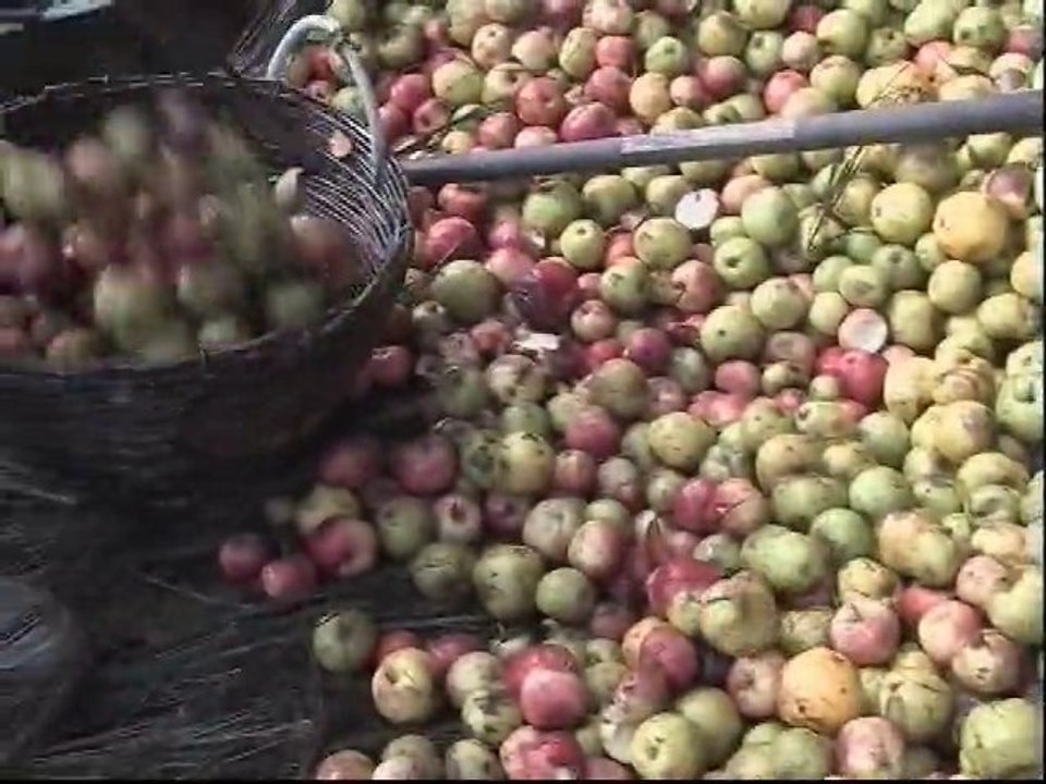 Fête de la Chataigne 2010 à Plédéliac
