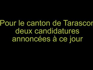 Cantonales 2011 - Tarascon -