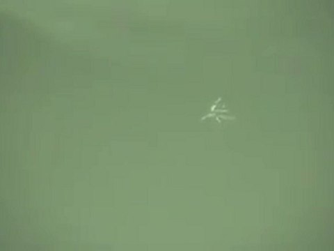 UFO _ OVNI Flotte d orbs - Visible en nightshot mode...