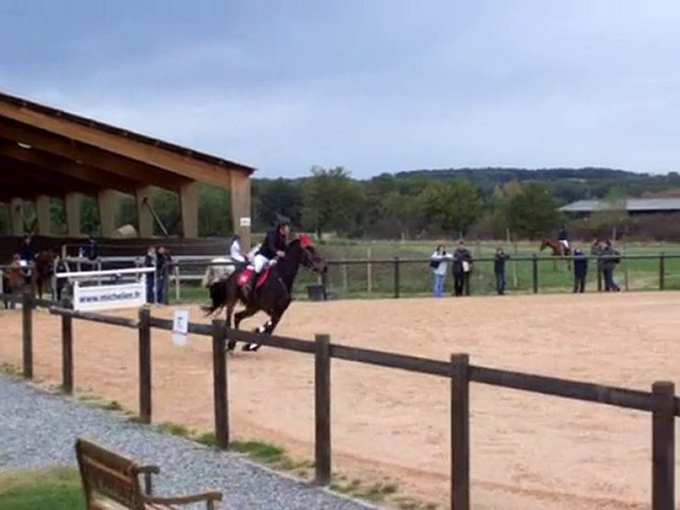 Concours-equitation-muret-31-10-2010