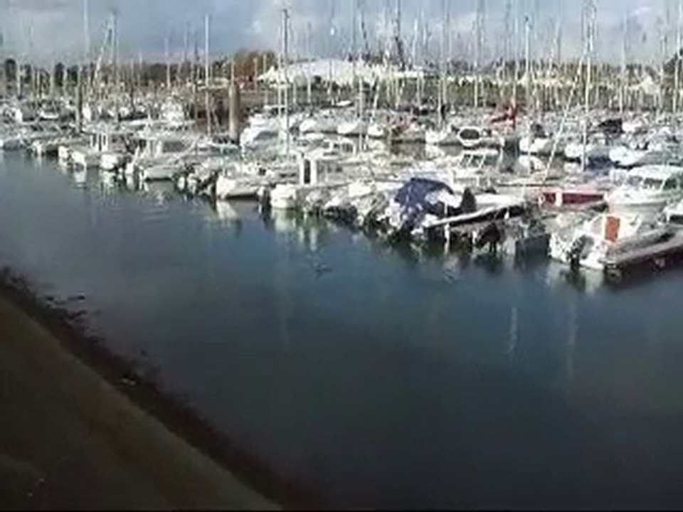 2010-Mille-sabords-cormoran