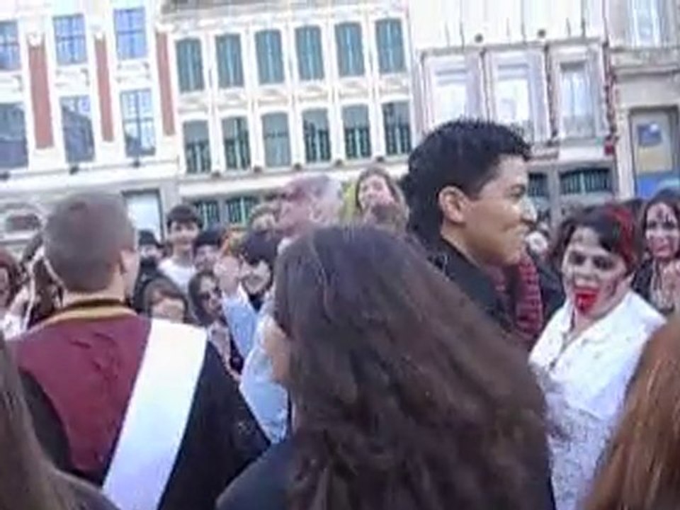 Harry Potter à Lille ! 17