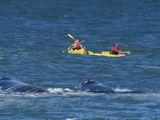 80joursvoyages Afrique du Sud 1