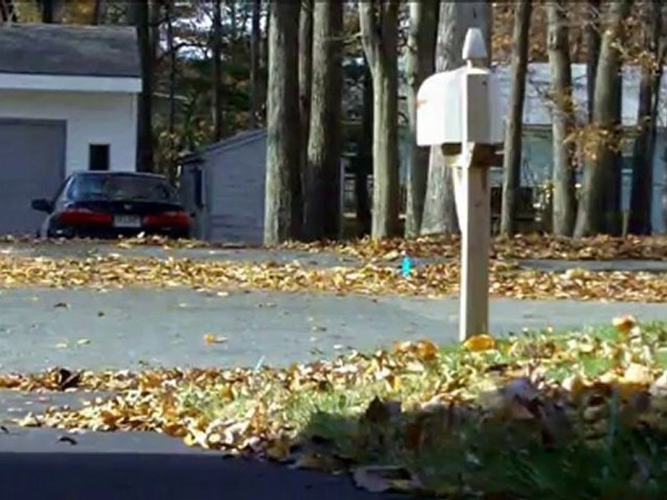 Unique Gift Idea for Parents Grandparents Mailing Mailbox