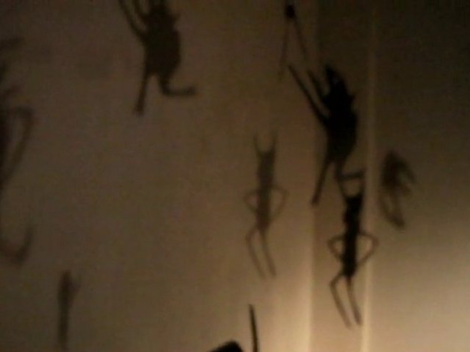 Sighanda - Expo Real Presence Belgrade 2010