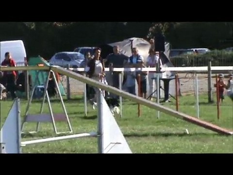 Concours agility St Michel 2010