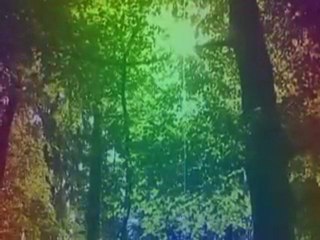 Johann Sebastian Bach