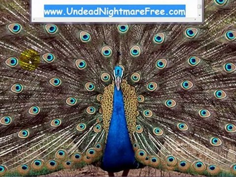 RDR Undead Nightmare DLC Redeem Codes Xbox360 and PS3