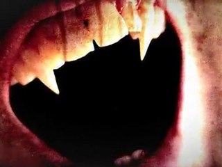 Damphir Chronicles by J.P. Dorsey