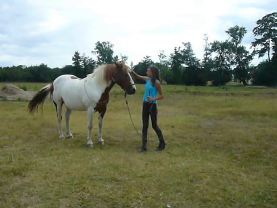 Notre première séance de cirque ! ( le 17 Mai 2010)