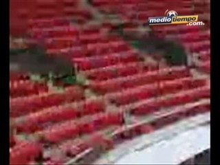 Medio Tiempo.com - Estadio Movistar