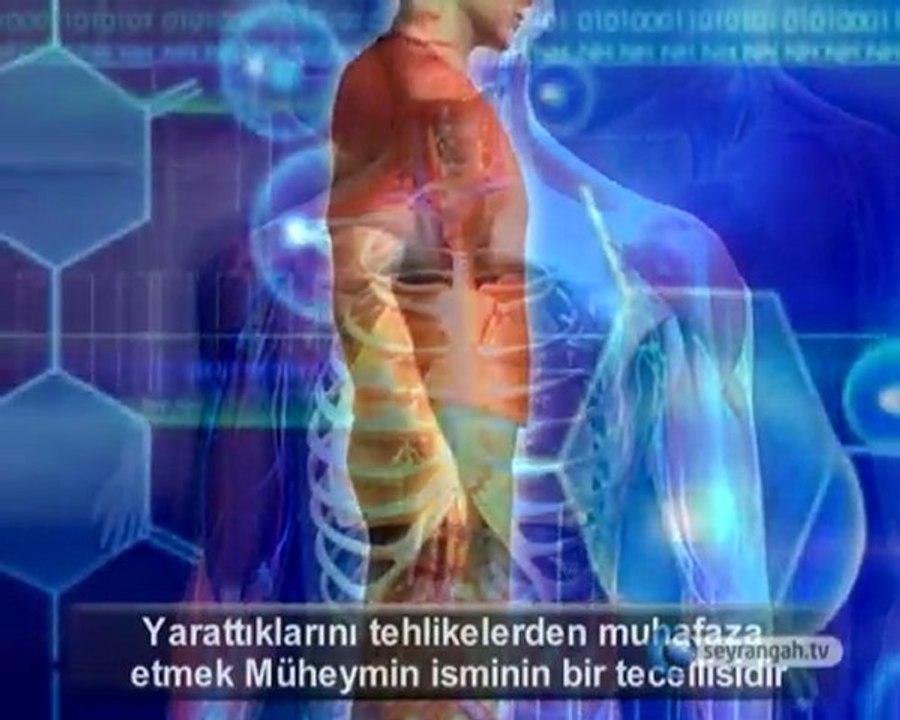 El-Muheymin