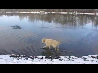 Celeste a la neige janvier 2010