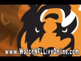 watch nfl Tampa Bay Buccaneers vs Arizona Cardinals live onl